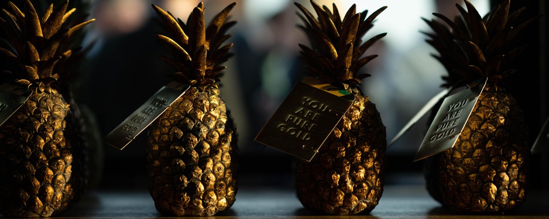 The Pineapples 2024 judges announced