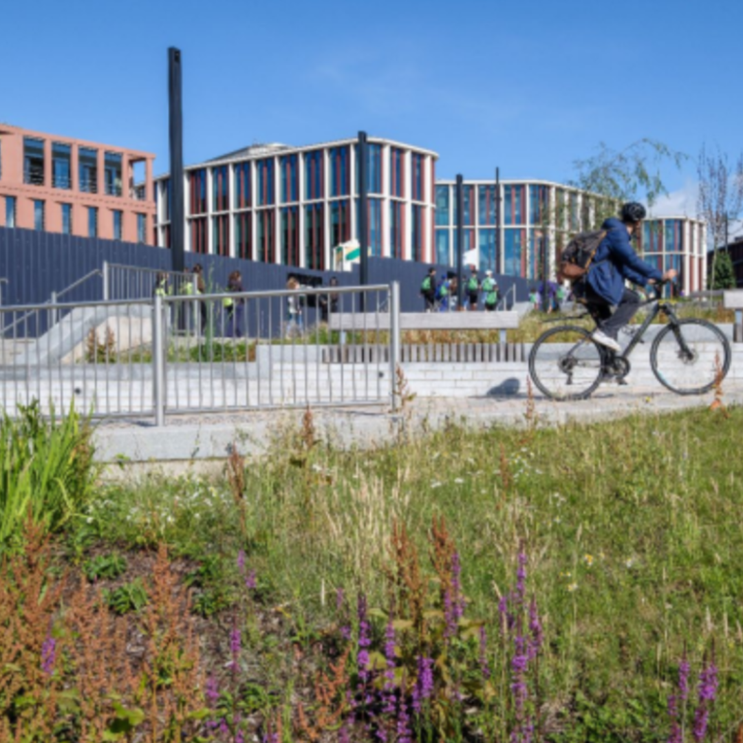 University of Glasgow Western Campus, Glasgow, for University of Glasgow and Multiplex, with LUC, AECOM, 7N and Arup