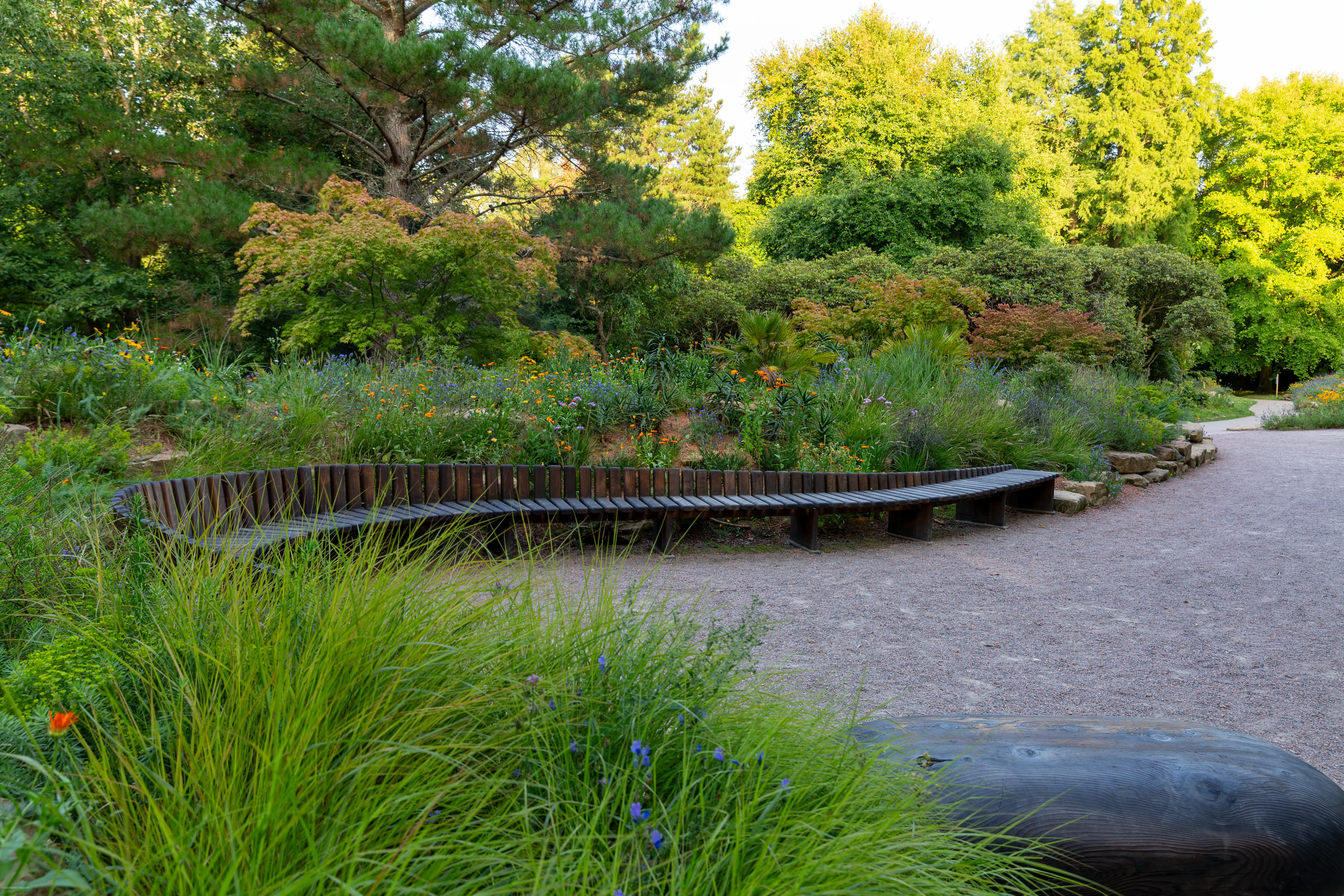 Garden for the Future, East Sussex for The National Trust with Joe Perkins, The Landscaping Consultants, Oli Carter Adventurous Joinery and Kelways Plants
